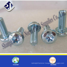 T40 Torx Screw